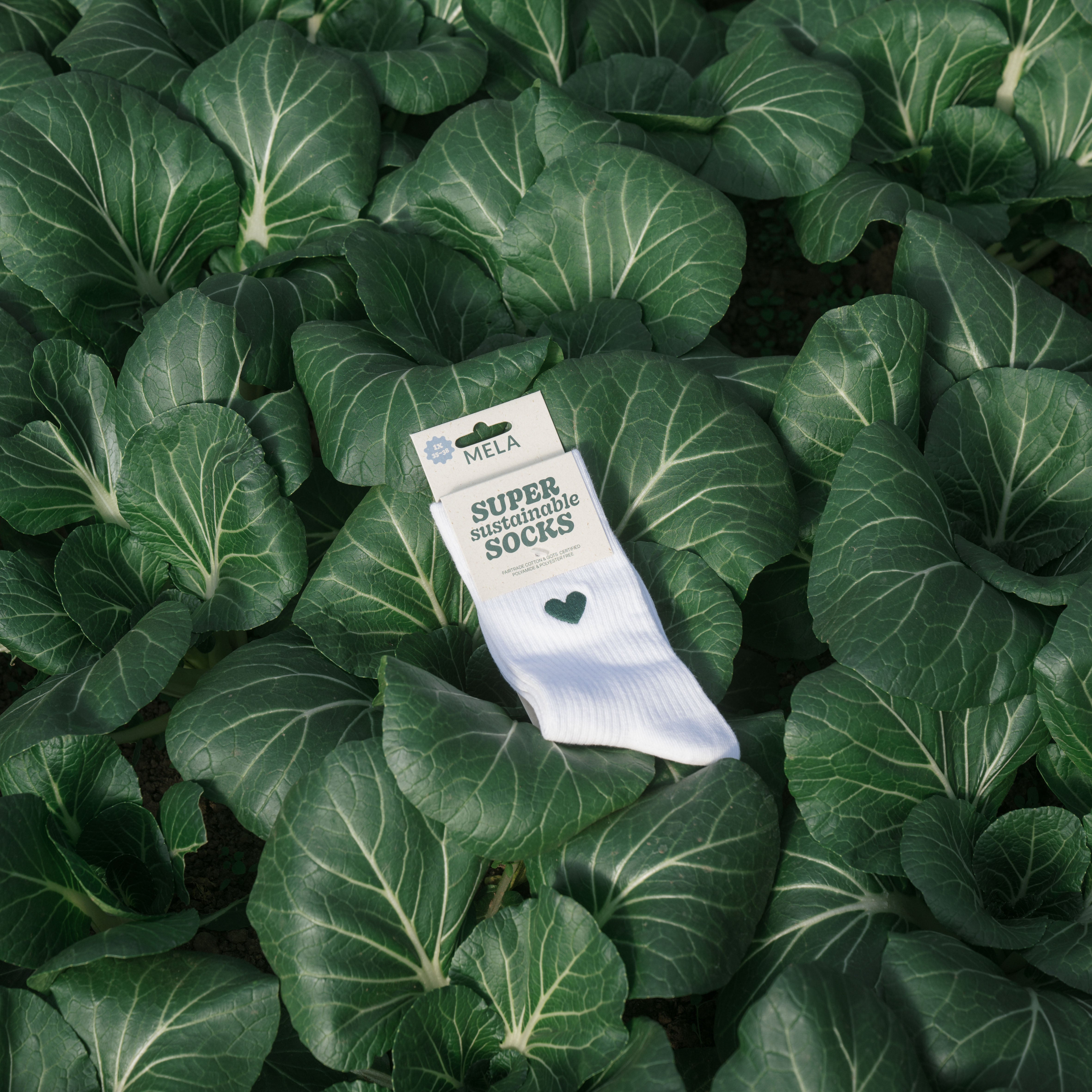 Damen Accessoires in Bundles & Multipacks