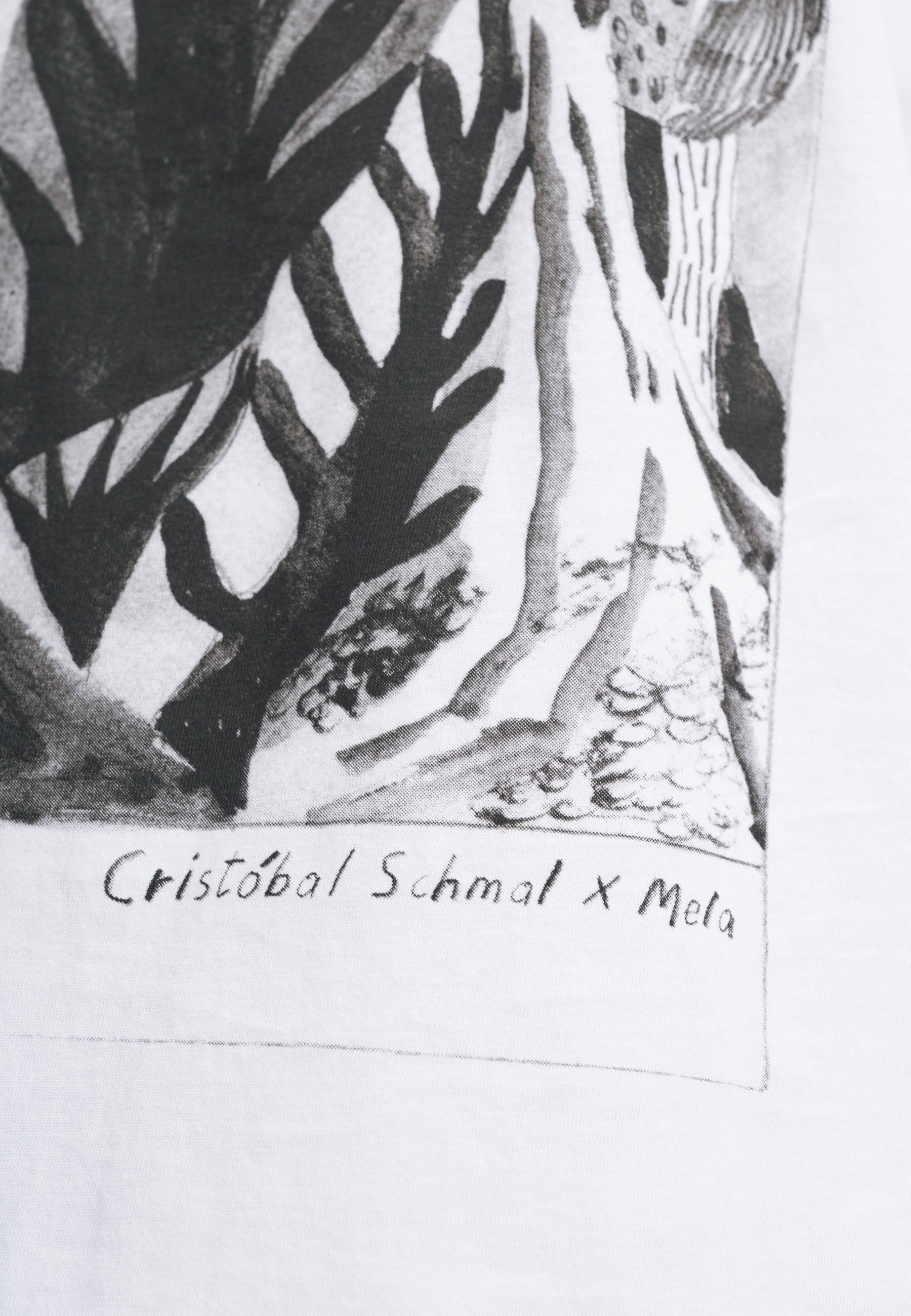 #Farbe_weiß / print forest