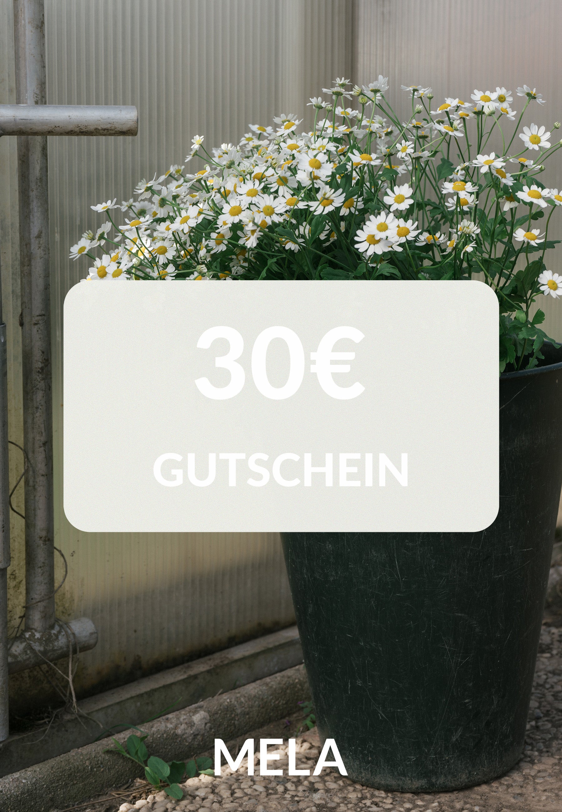 MELA-Gutschein digital