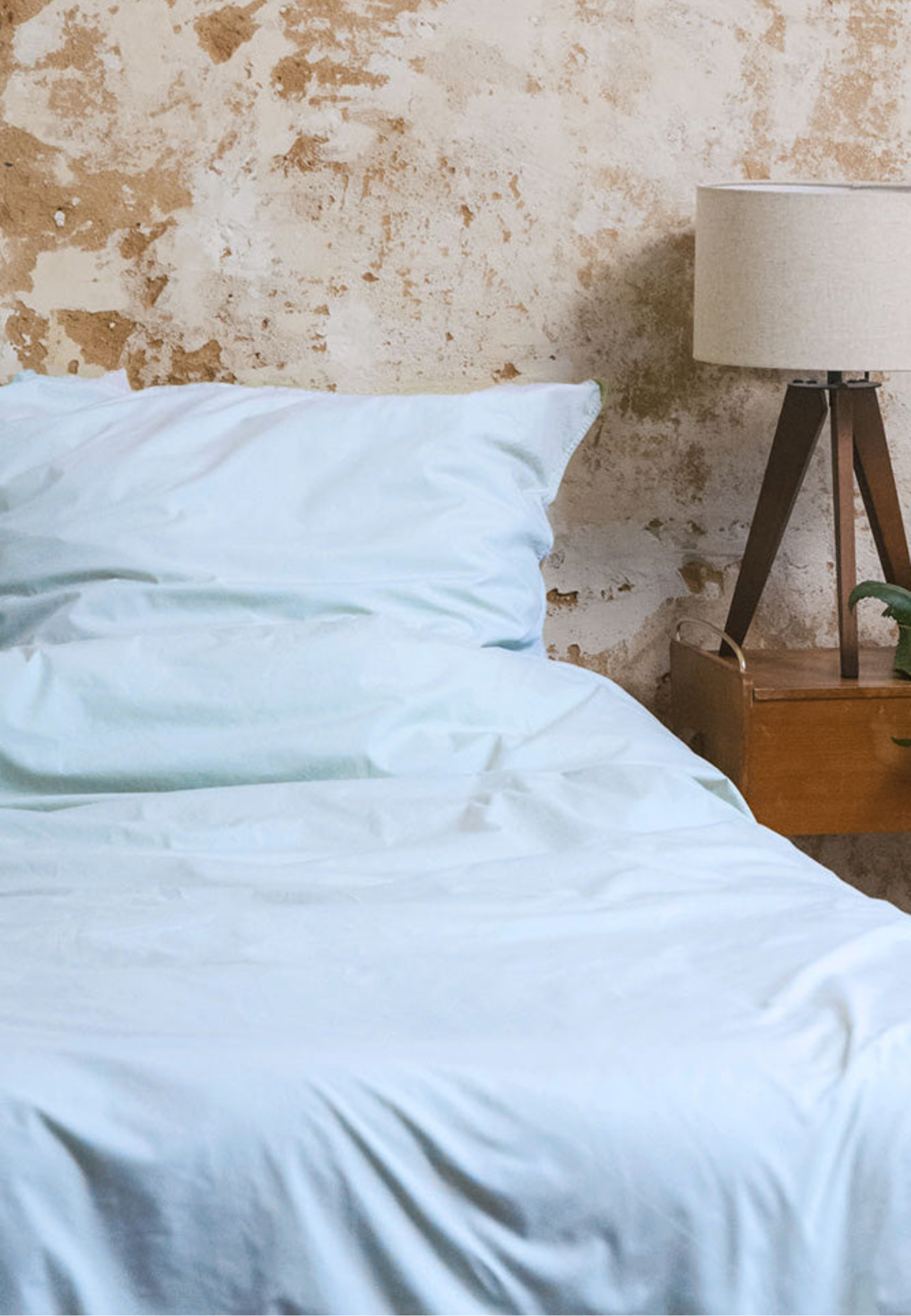 Bundle Unisex Percale Bedding Set BHANU + Percale Pillowcase BHANU