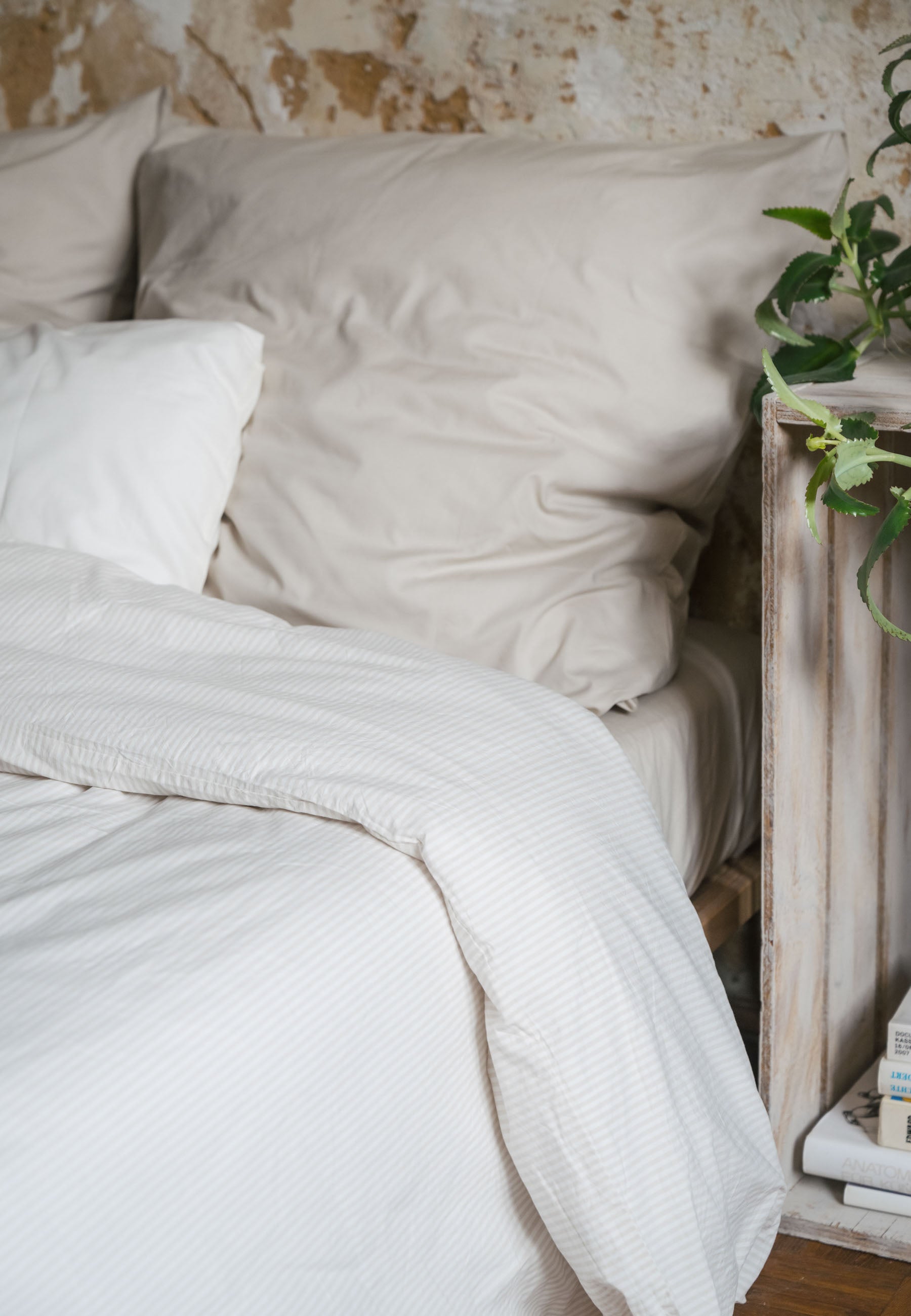 #Farbe_birke - naturweiss gestreift