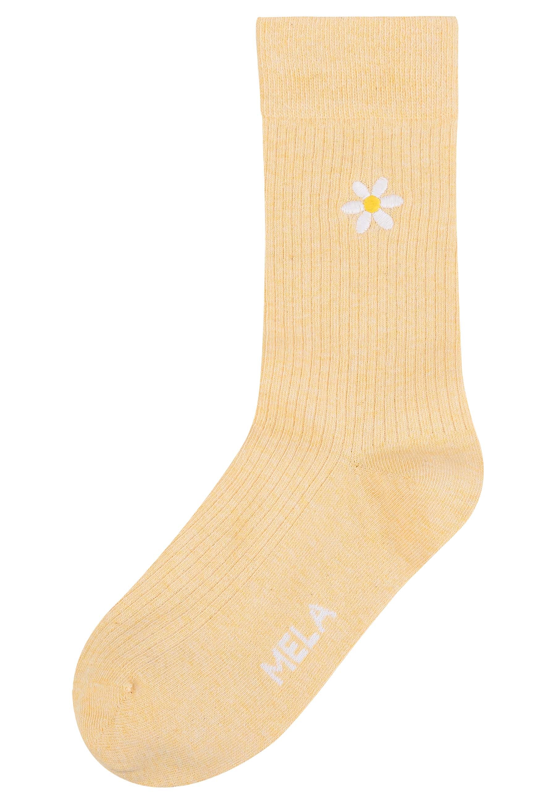 #Farbe_daisy / twin flower
