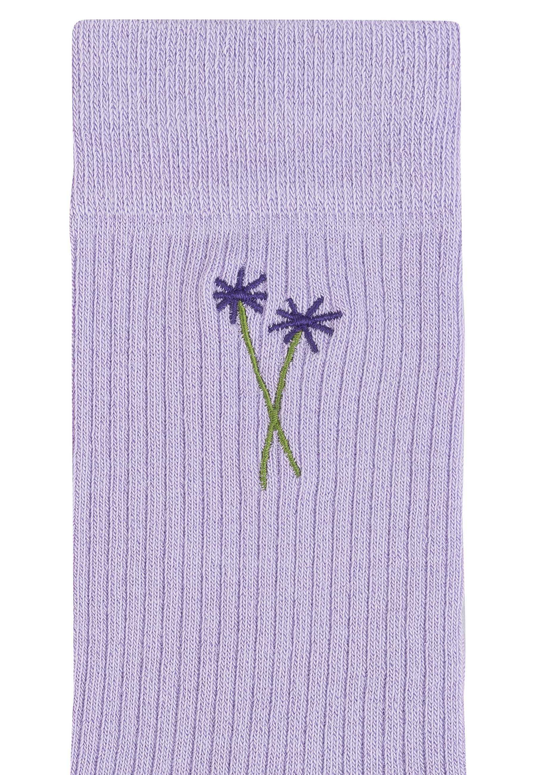 #Farbe_daisy / twin flower