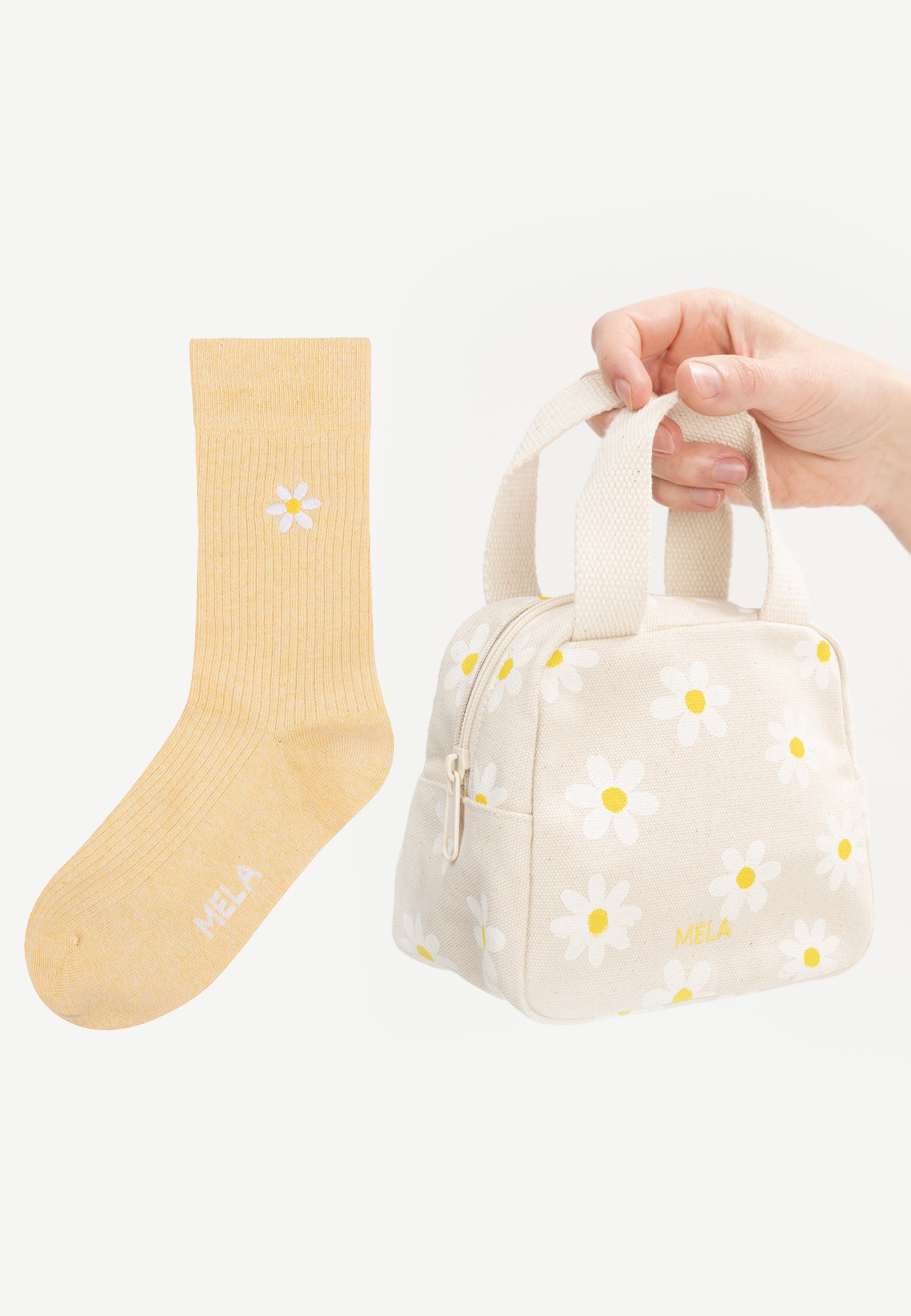 #Farbe_daisy / daisy