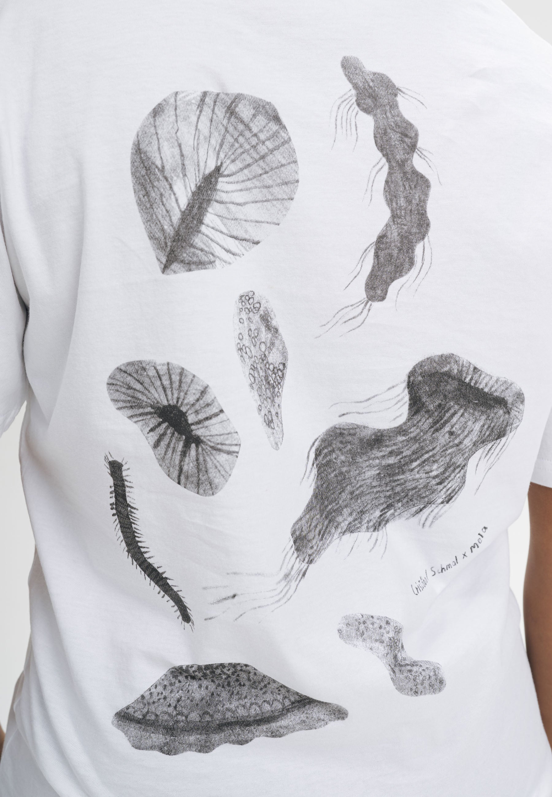 #Farbe_weiß / print ocean