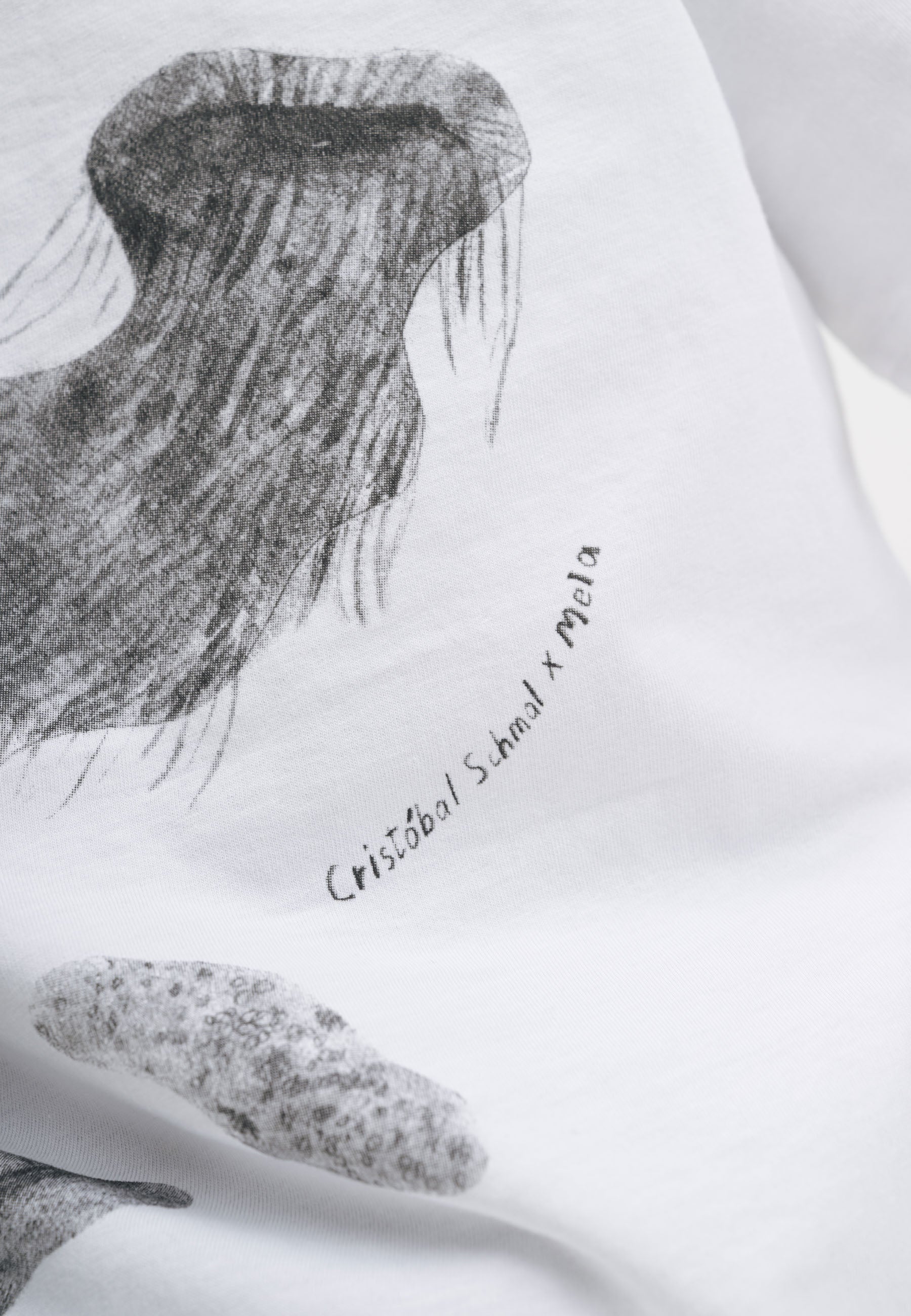 #Farbe_weiß / print ocean